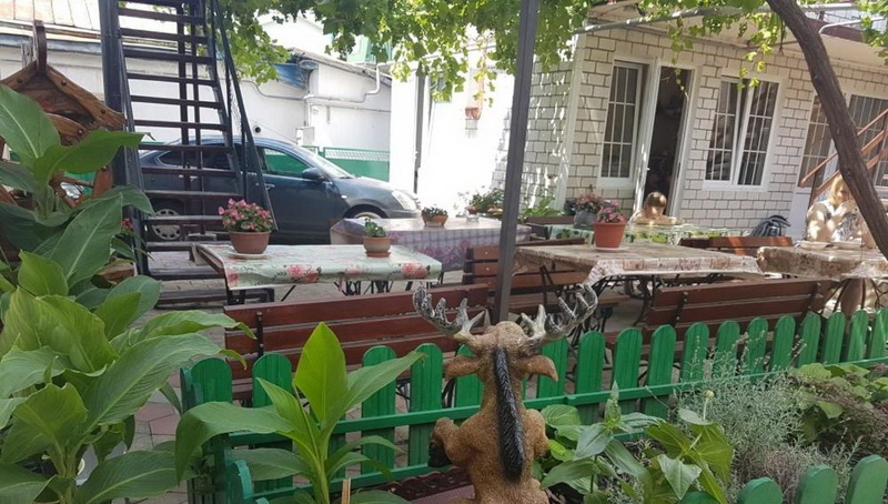 каталея