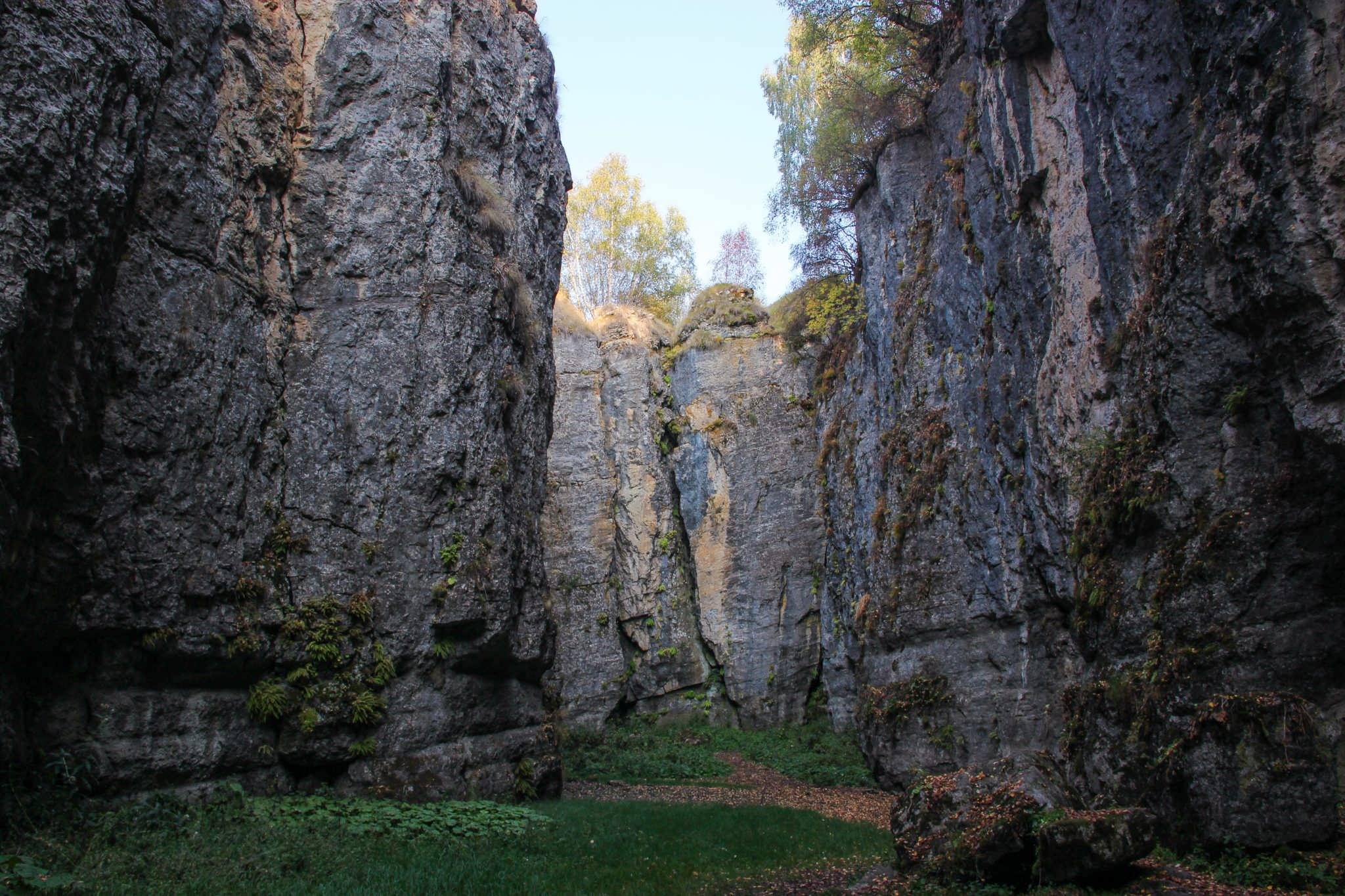 матлас