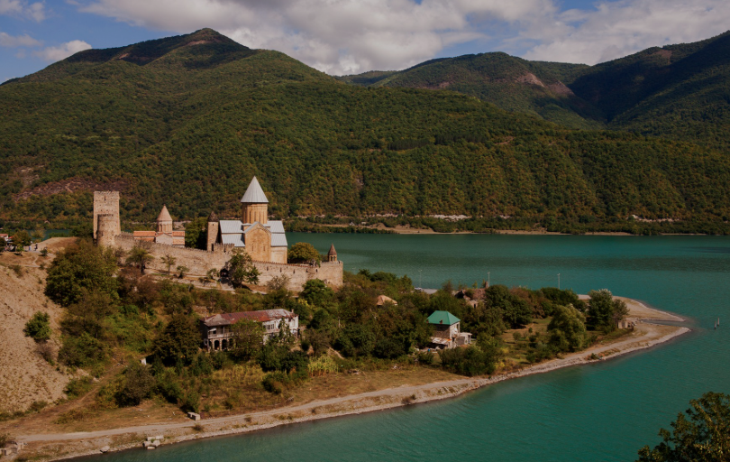 Тур в Грузию с мандаринами