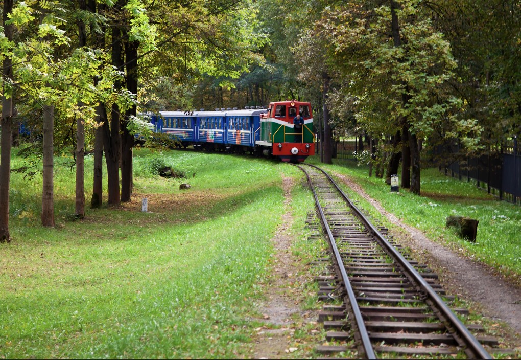 детская жд