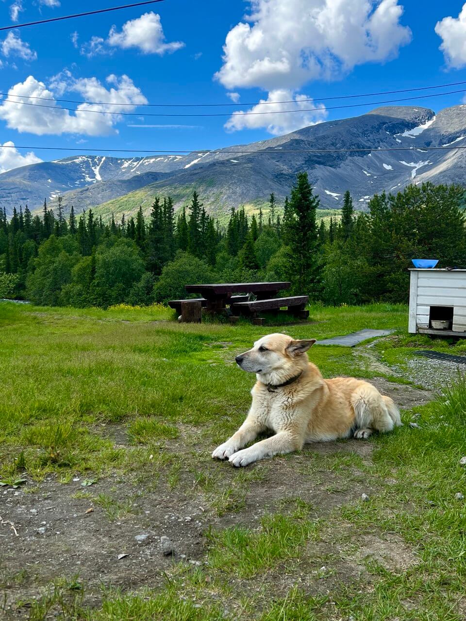 Мурманск