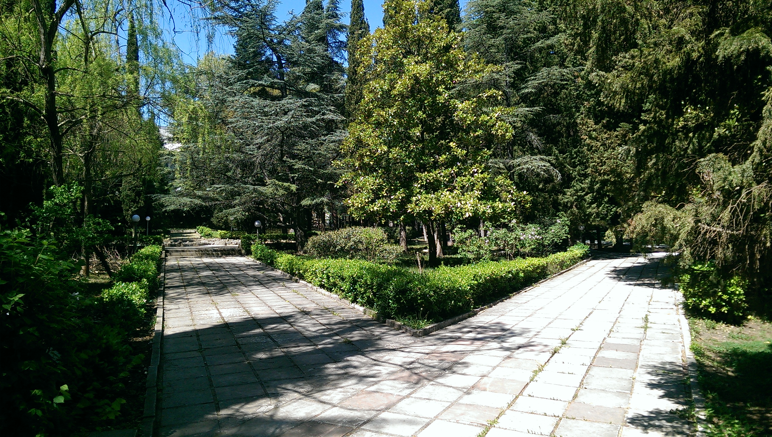 Отдых в Крыму