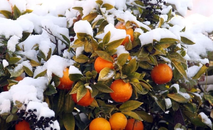 Автобусный тур в Абхазию из Минска и Гомеля